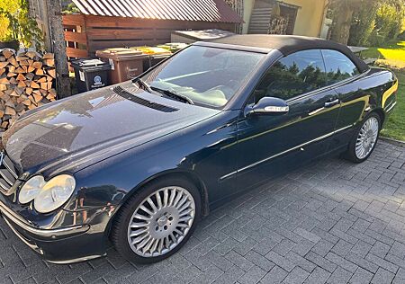 Mercedes-Benz CLK 500 gebraucht kaufen Mercedes-Benz CLK 500 CLK Prins Gasanlage Leder Navi Aut