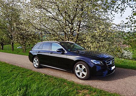 Mercedes-Benz E 220 E220d 4MATIC T Autom. 9G-Tronic Holz Esche Beige