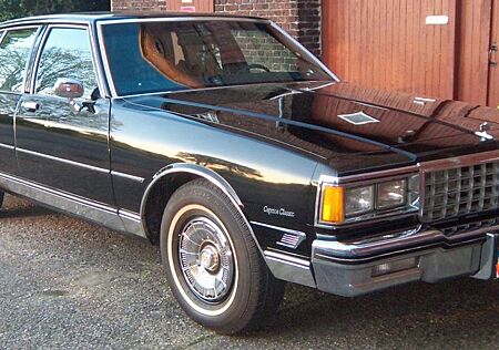 Chevrolet Caprice originaler Top Zustand TÜV 2027