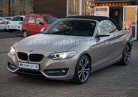 BMW 228i Cabrio M-Sport Paket-LED-Navi-Leder-PDC...