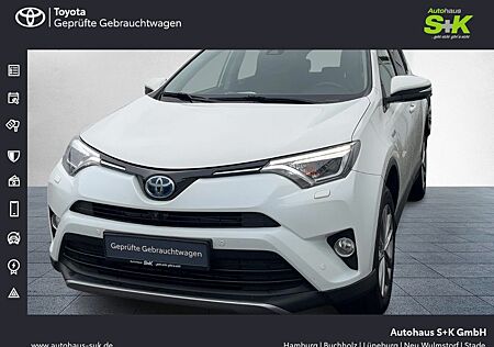 Toyota RAV 4 2.5 VVT-i Hybrid Team D 4x2*WINTER-P.+360°