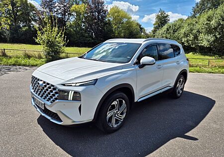 Hyundai Santa Fe gebraucht kaufen Hyundai Santa Fe 2.2 CRDi 2WD DCT Trend KRELL NAVI Leder