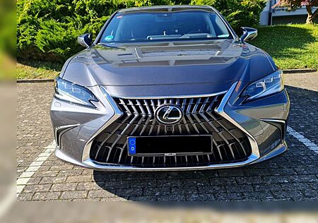 Lexus ES 300 300h Luxury Line Automatik Luxury Line