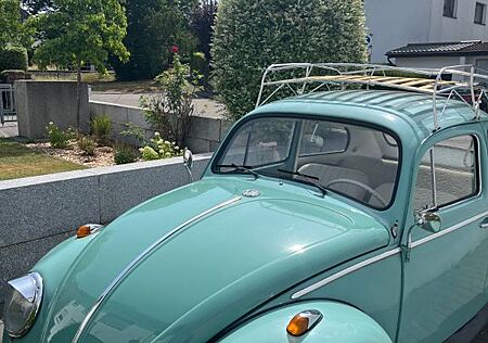 VW Käfer Volkswagen