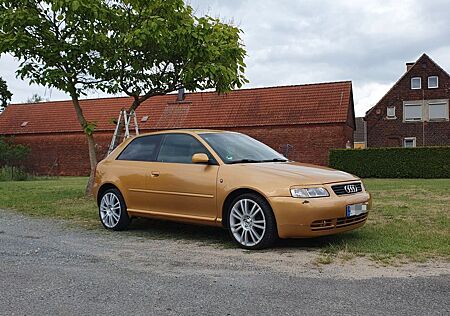Audi A3 1.6 Ambition Ambition