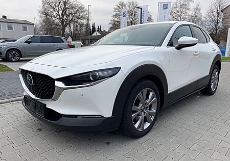 Mazda CX-30 2.0 Benziner 1 Hand LED Sitz- Temp- OrigKm