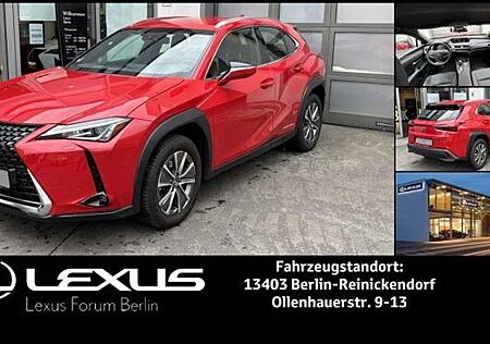 Lexus UX gebraucht kaufen Lexus UX 300e BEV Komfort Plus *Allwetterreifen*