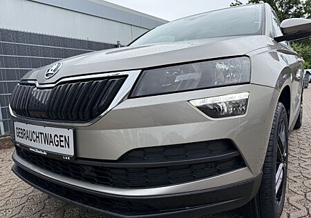 Skoda Karoq 1.5TSI ACT Ambition Klima Navi Pdc Shz DAB