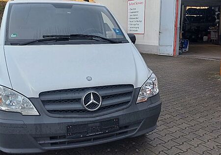 Mercedes-Benz Vito Kasten 113 CDI lang,Regale,Mwst.