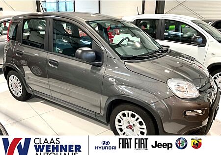 Fiat Panda Base 1.0 Mild Hybrid EU6d MY22 GSE Benzin