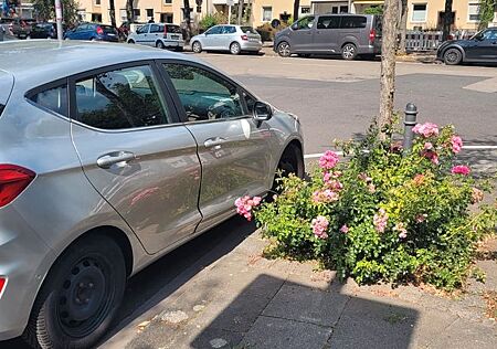 Ford Fiesta 1,0 EcoBoost 74kW Celebration PowerSh...