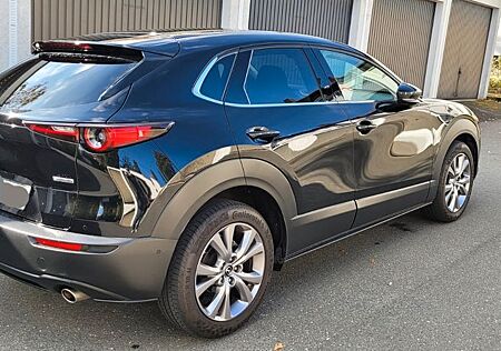 Mazda CX-30 150 PS,HUD,Matrix, Garantie.