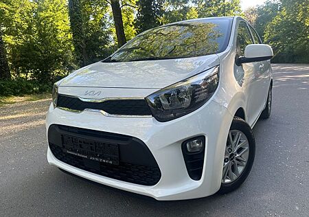 Kia Picanto Vision 1.Hand Navi Kamera TopAusstattung