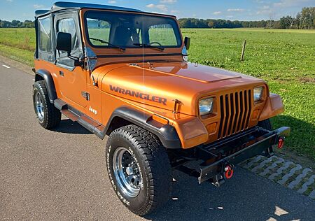 Jeep Wrangler YJ 4.2 6 cil 1987