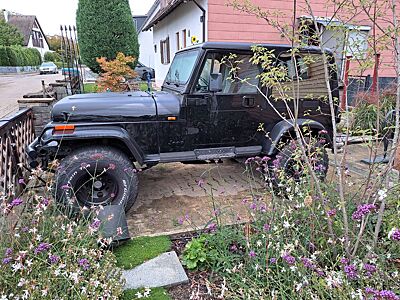 Jeep Wrangler 4.0 YJ 1996