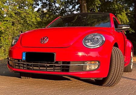 VW Beetle Volkswagen 1.2 TSI DSG+Panorama+Automatik+Sitzheiz