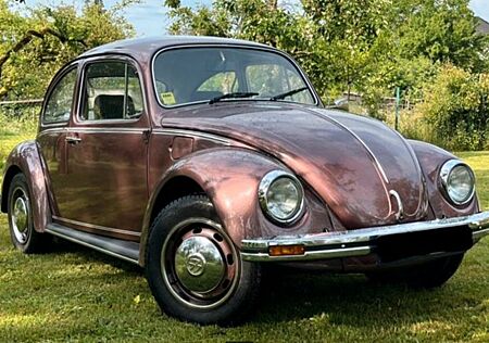 VW Käfer Volkswagen