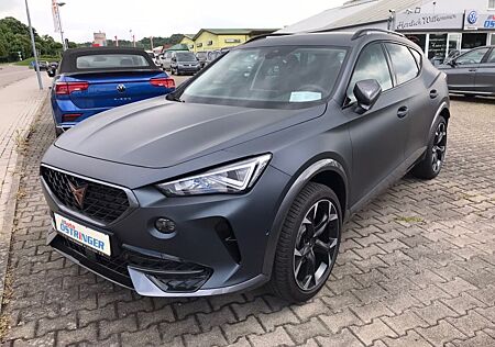 Cupra Formentor 2,0 TSI DSG 4Drive Magnetic Grau Matt