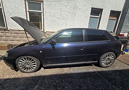 Audi A3 1.9 TDI Ambition Ambition