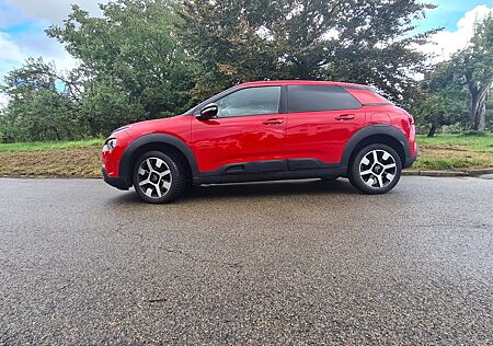 Citroën C4 Cactus PureTech 110 S&S Shine Shine