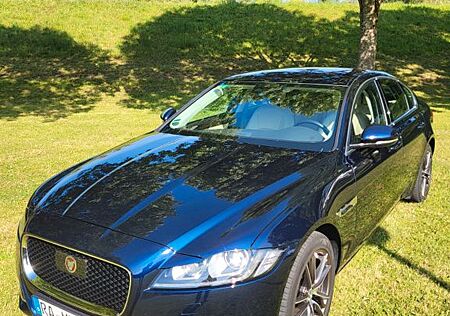 Jaguar XF 25t 250PS AHK, Prestige, Automatik