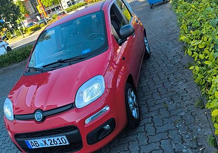 Fiat New Panda 1.2 8V MORE MORE