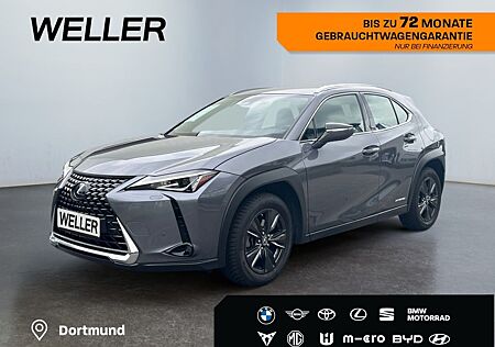 Lexus UX 250h Launch Edition *Bi-LED*ACC*CAM*SHZ*Navi*