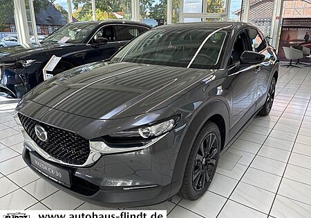 Mazda CX-30 2.5L e-SKYACTIV G 140ps Homura