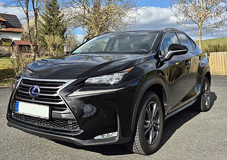 Lexus NX 300h E-FOUR Luxury Line, HUD, 360°Kamera, AHK