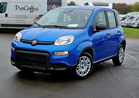 Fiat Panda Pandina Mild Hybrid 1.0 Klima PDC sofort V