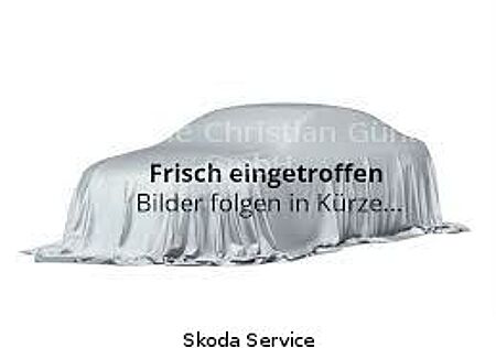 Skoda Fabia 130 JAHRE 1.0TSI 85KW DSG AHK LED KAMERA