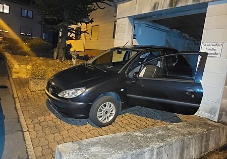 Peugeot 206 Petit Filou 60 Petit Filou