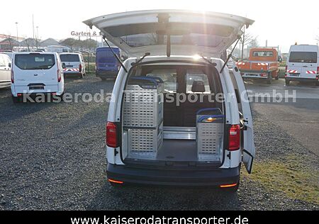 VW Caddy Volkswagen 2,0TDI DSG kurz Werkst. Klima Sthzg. Navi