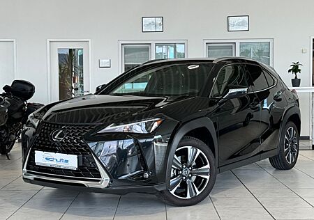 Lexus UX 250 H *Automatik*Navi*SHZ*Kamera*