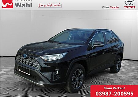 Toyota RAV 4 2.5 Hybrid Team Deutschland SHZ NAVI LED