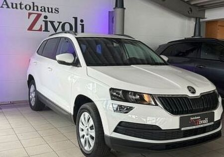 Skoda Karoq Ambition NAVI/TEMPO/SHZ/PDC/MFL/APPLE-CAR