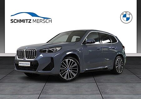 BMW iX1 xDrive30 M Sportpaket DAB LED Pano.Dach RFK