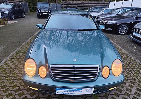 Mercedes-Benz CLK 200 gebraucht kaufen Mercedes-Benz CLK 200 KOMPRESSOR ELEGANCE-ÖL&TÜV NEU TOP TOP