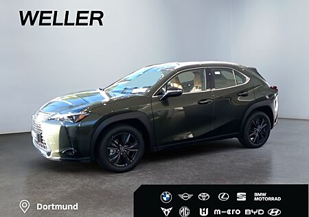 Lexus UX 300h Tech.Paket*dig CP*SHZ*Kamera*TWA*CarPlay