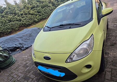 Ford Ka /+ 1,3 51kW Style Style