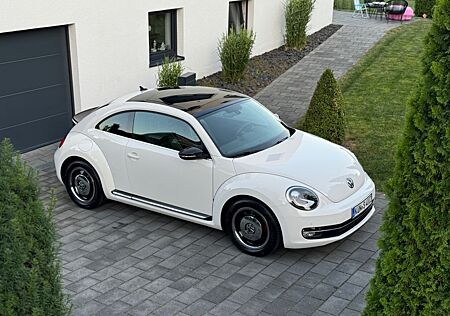 VW Beetle Volkswagen 2.0 TSI DSG Sport*Pano*Fender*Leder*Navi*