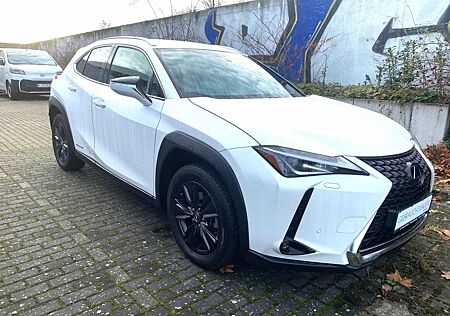 Lexus UX 250h Amazing Edition, Safety System