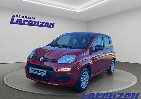 Fiat Panda Mild Hybrid 1.0 70PS Klima DAB Spurhalteas