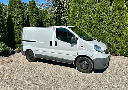 Opel Vivaro Kasten, sehr gepflegt