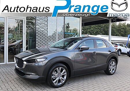 Mazda CX-30 M-Hybrid G-150 Selection *November-Aktion*