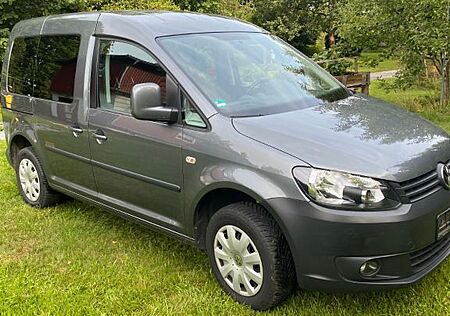 VW Caddy Volkswagen 1,2TSI 77kW Roncalli Edition 7-Sitze R...