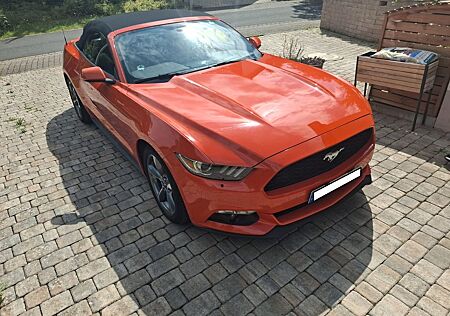 Ford Mustang V6