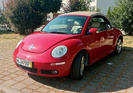 VW Beetle Volkswagen