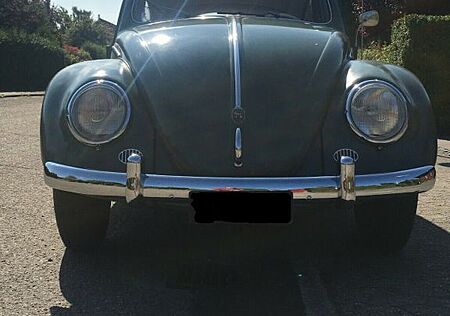 VW Käfer Volkswagen Beetle