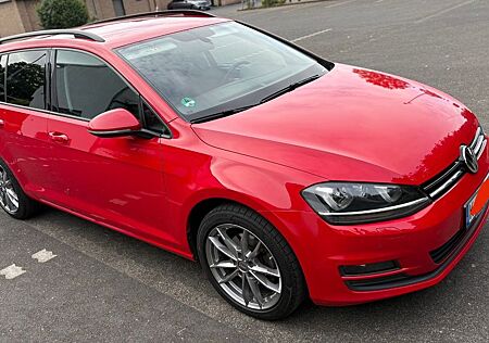 VW Golf gebraucht kaufen VW Golf Volkswagen 1.6 TDI DSG ACC